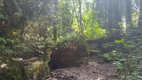 Scott Creek Farm 5