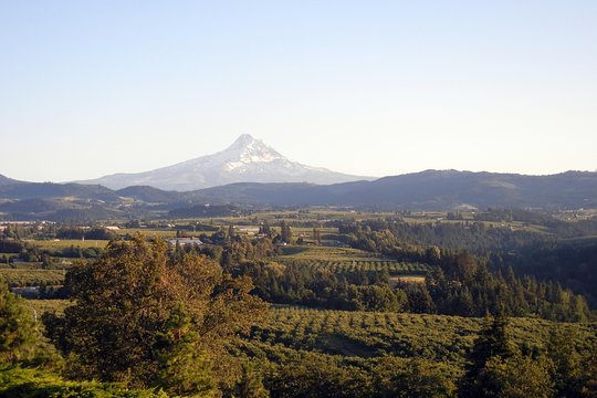 Tour image 7
